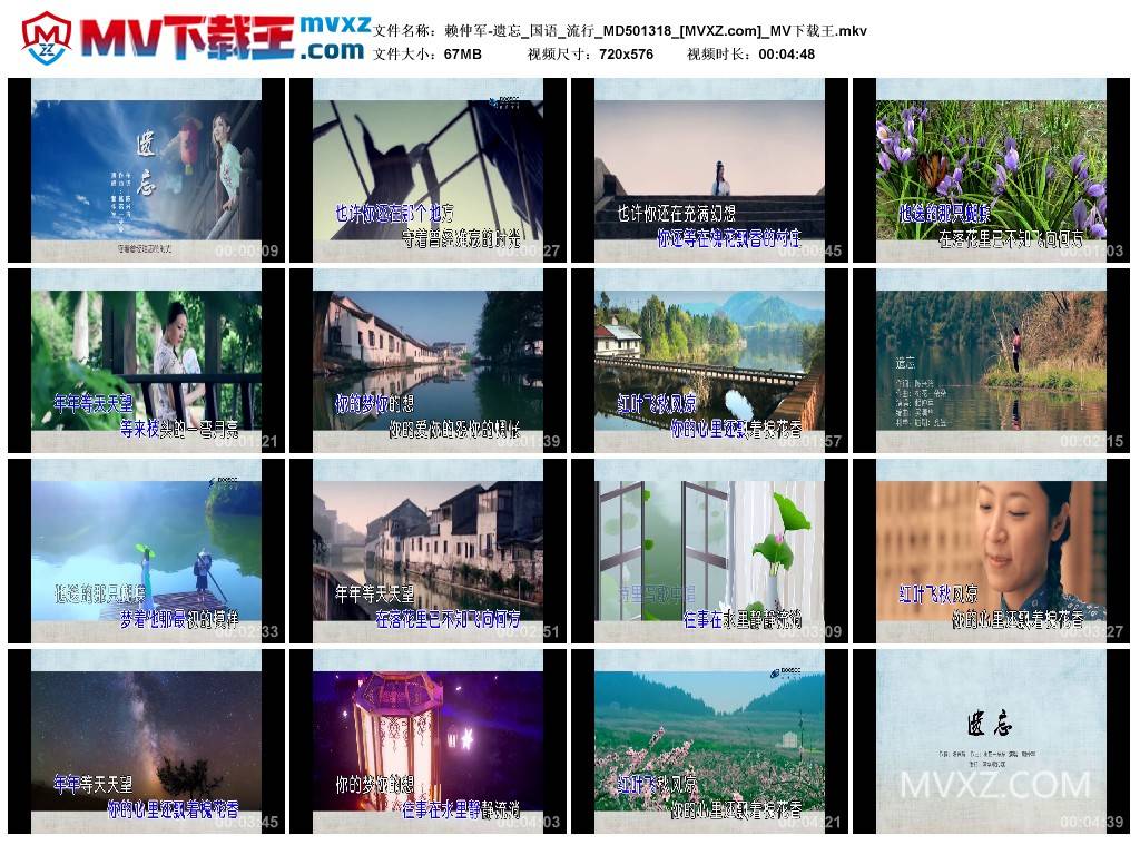 赖仲军-遗忘_国语_流行_MD501318